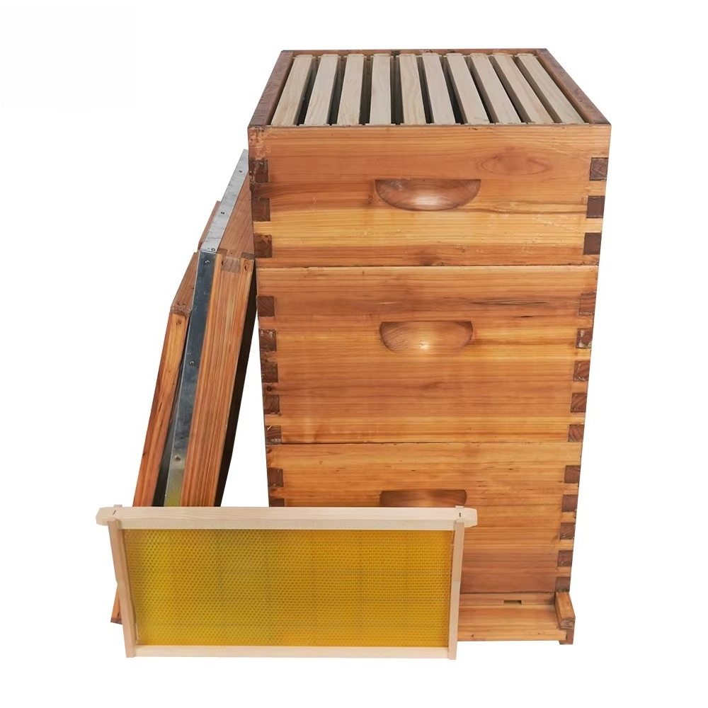 Complete 3-layer wax-soaked be - Beehive Frame Wax review and price