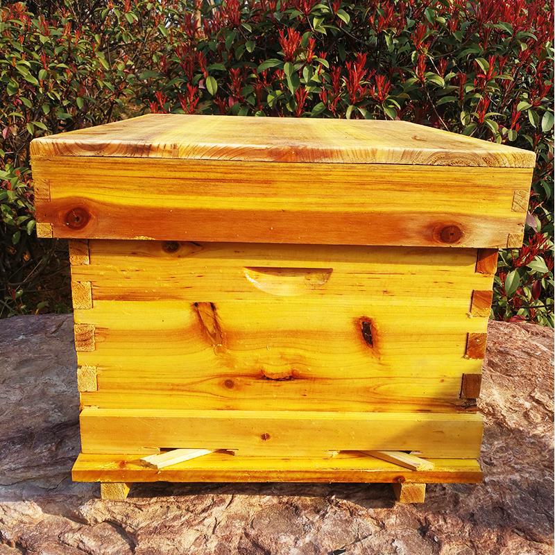 Bee beehive Full set of beekee - Beehive Frame Wax review and price