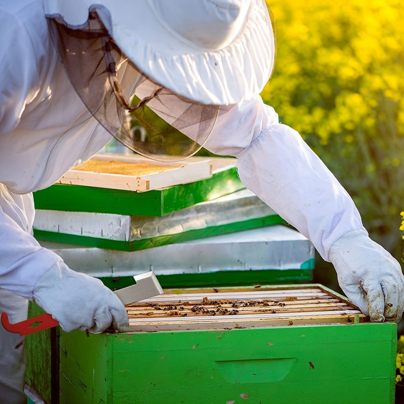Bee Frame Scraper Multifunctio - Beehive Frame Wax review and price